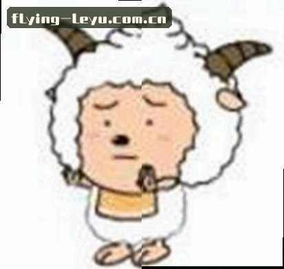 赵磊